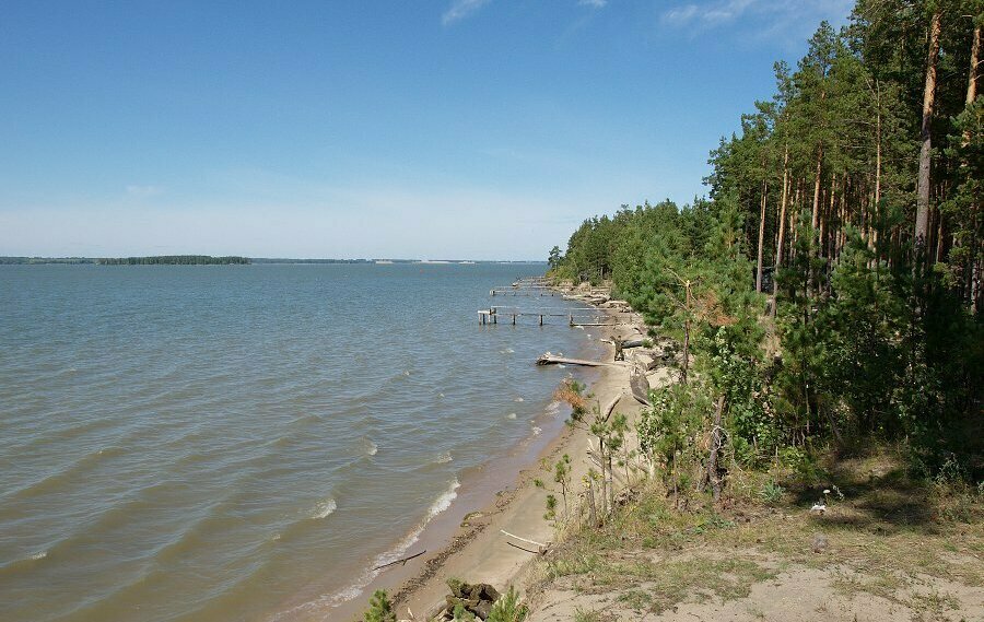 Дачи на обском море новосибирск. Караканский Бор в Новосибирской. Обское водохранилище Караканский Бор. Новосибирск Обское море Бор. Обское море Новосибирск Сосновый Бор.